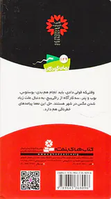 ماجراهای سه پسر بچه ی جلد سوم شکار مگس ها